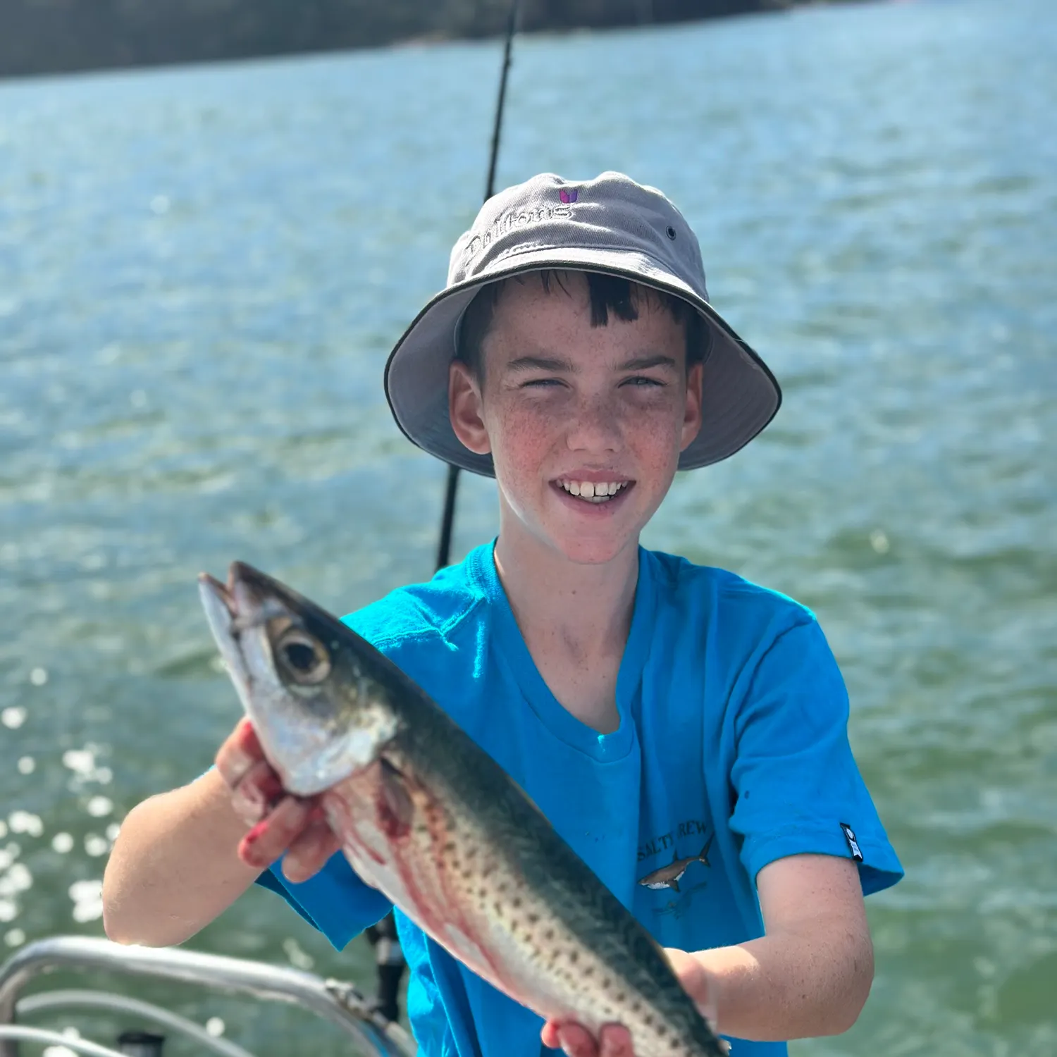 The most recent Blue mackerel catches on Fishbrain