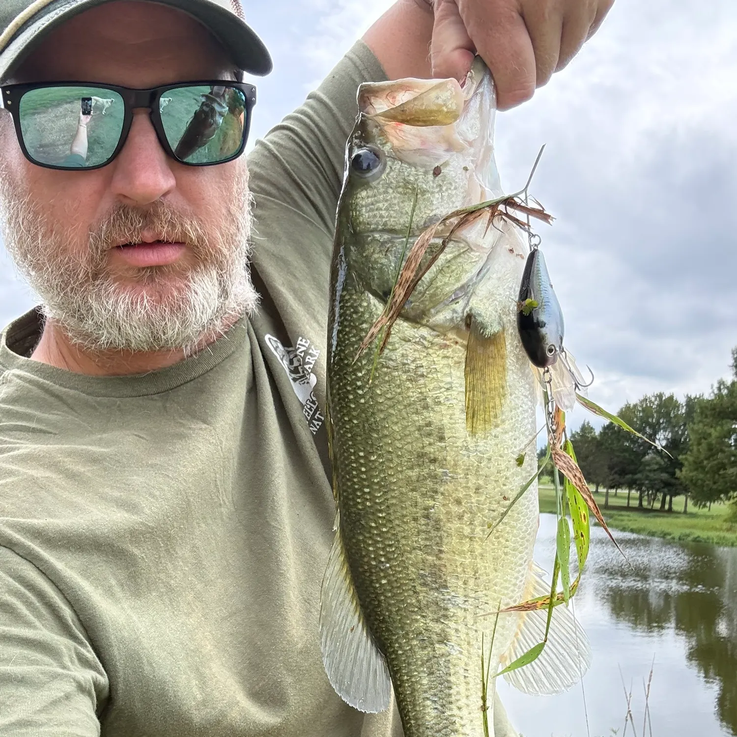 Largemouth bass caught on Fishbrain