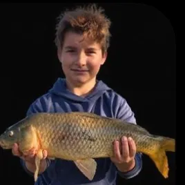 Common carp caught on Fishbrain