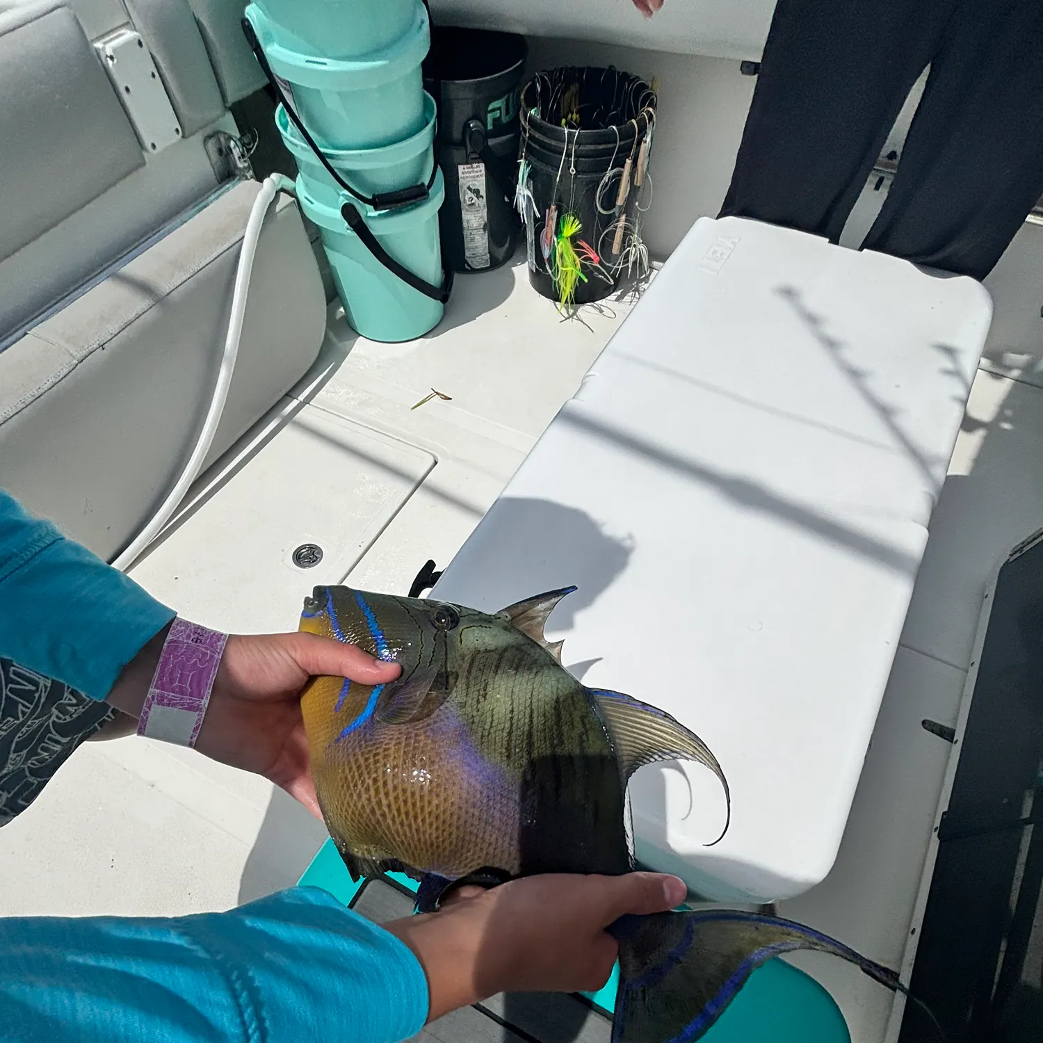 The most recent Pinktail triggerfish catches on Fishbrain