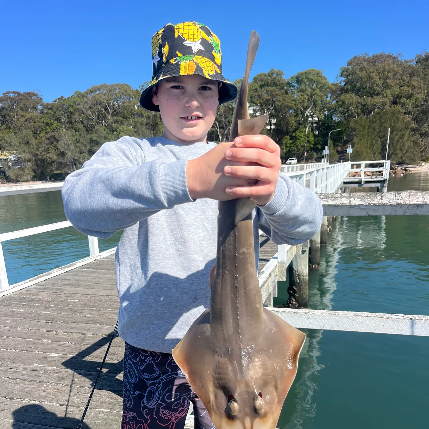 Pacific shovelnose guitarfish caught on Fishbrain