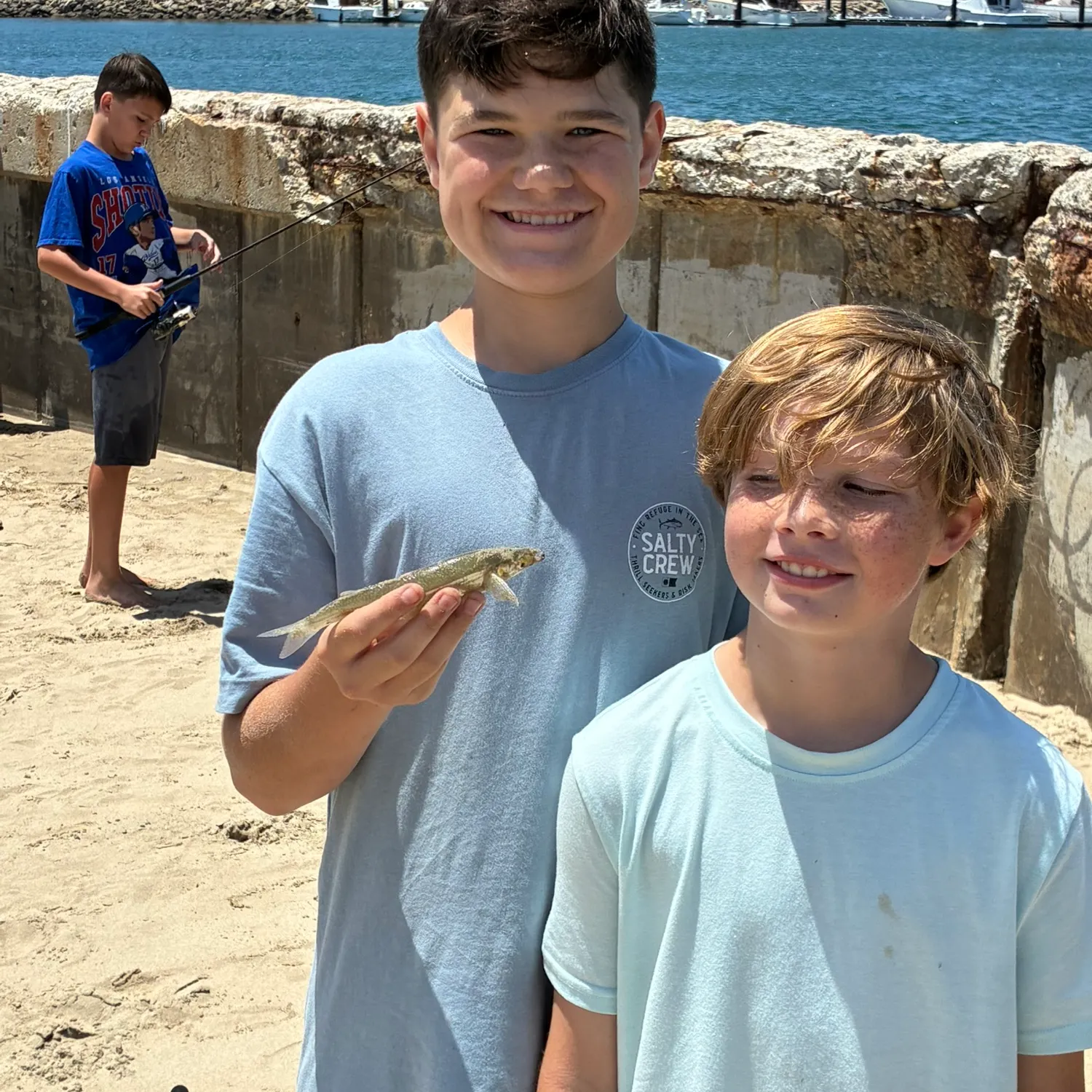 The most recent Round sardinella catches on Fishbrain