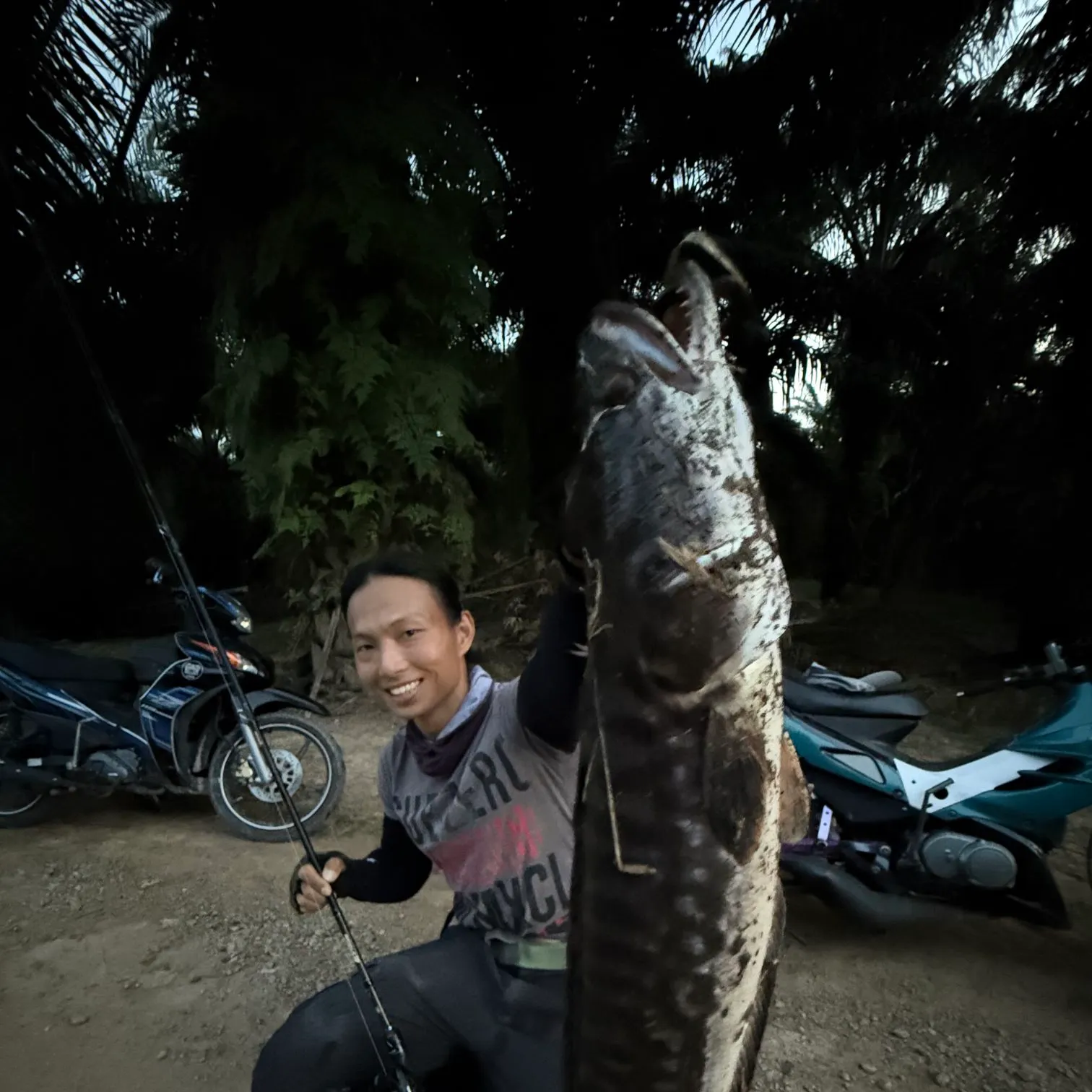 The most recent Indonesian snakehead catches on Fishbrain
