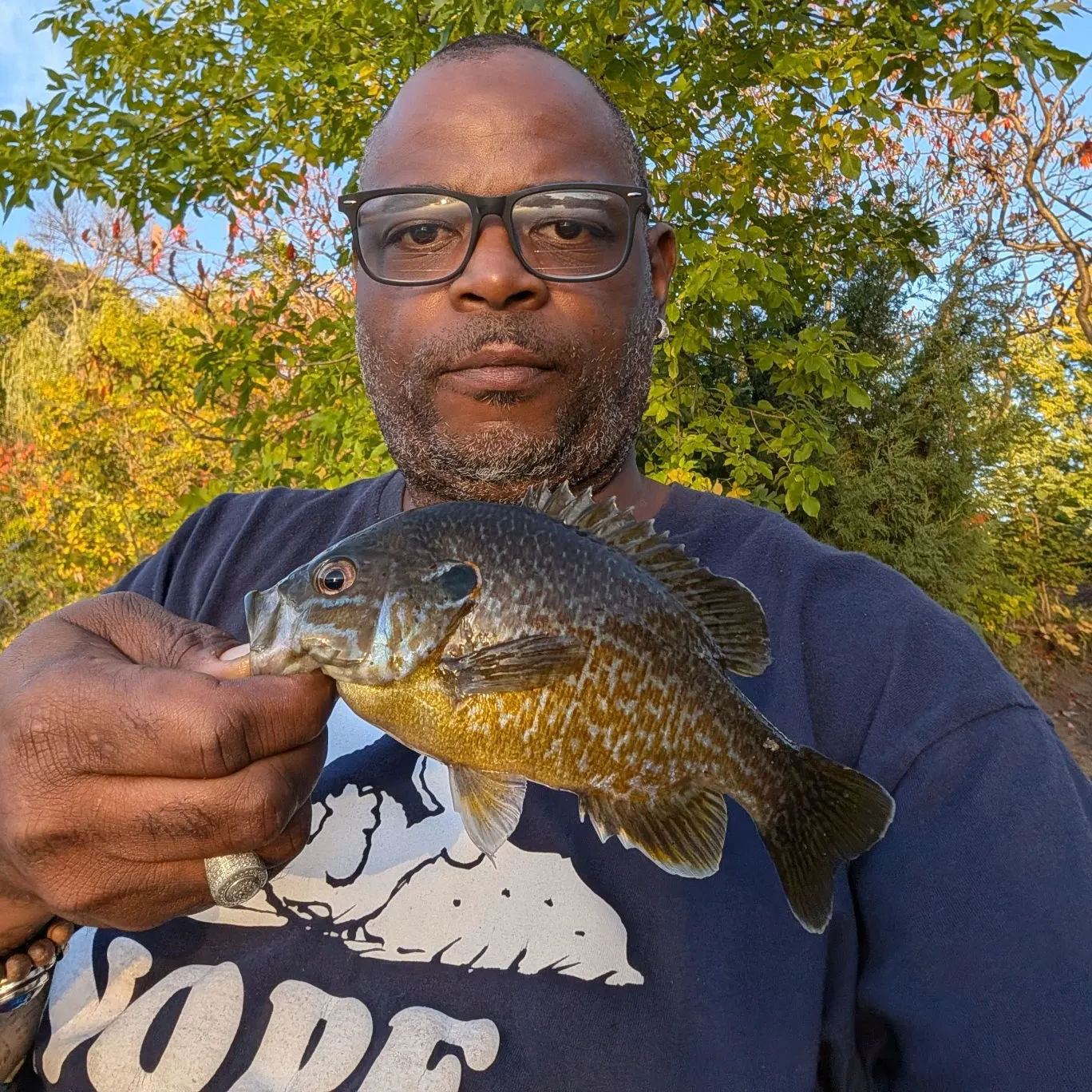 Greengill hybrid caught on Fishbrain