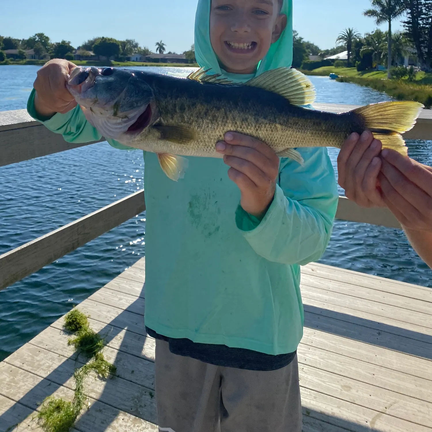 The most recent Largemouth bass catches on Fishbrain