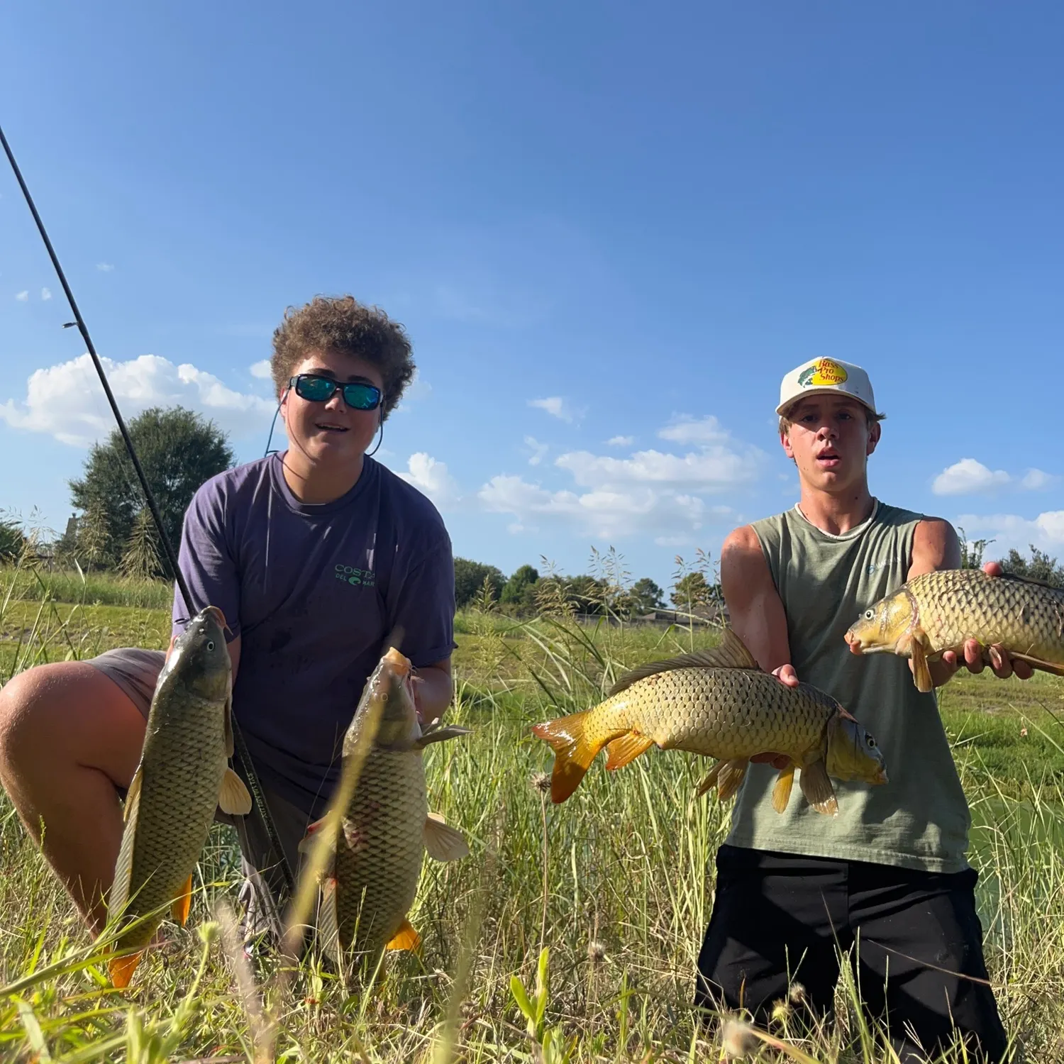 Common carp caught on Fishbrain