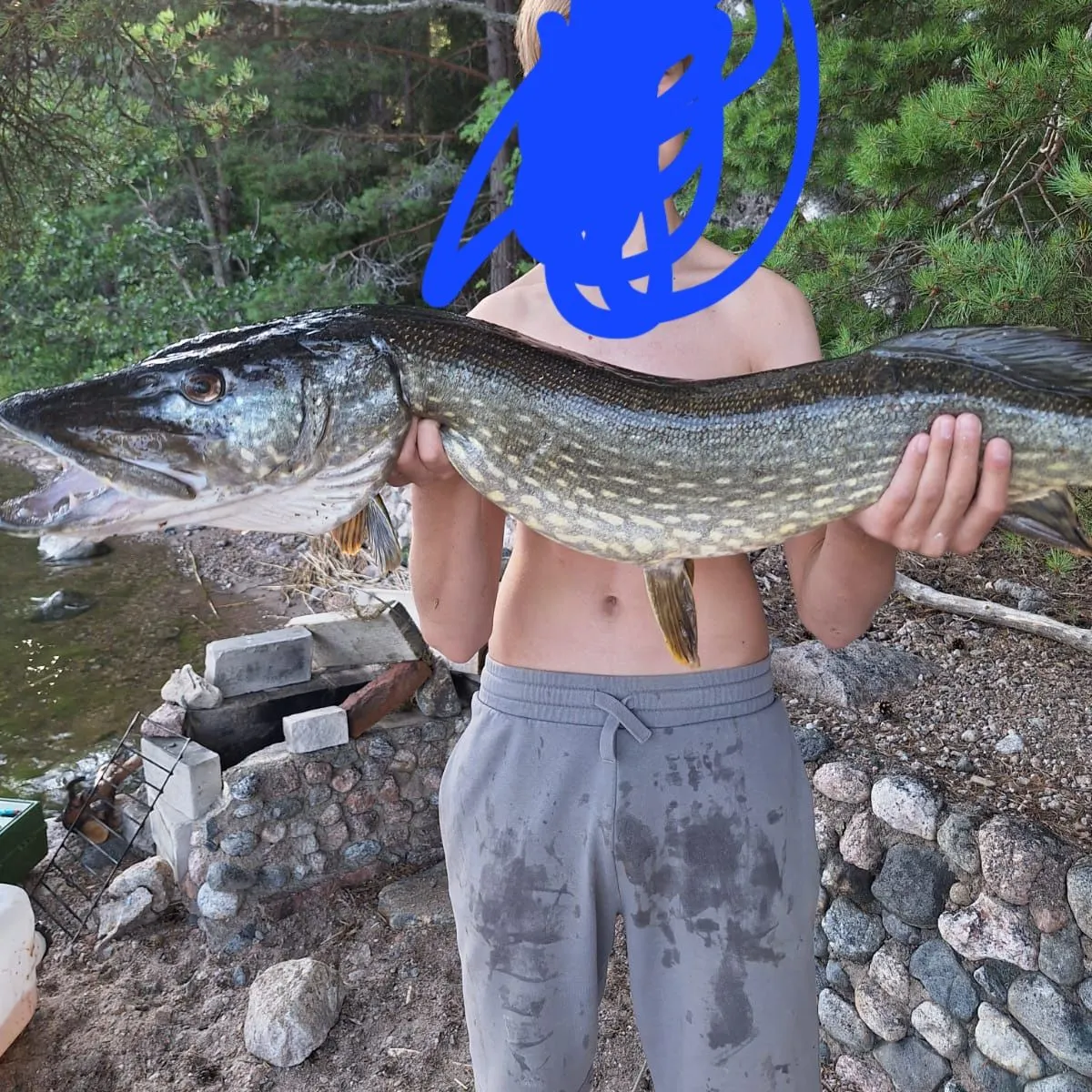 Northern pike caught on Fishbrain