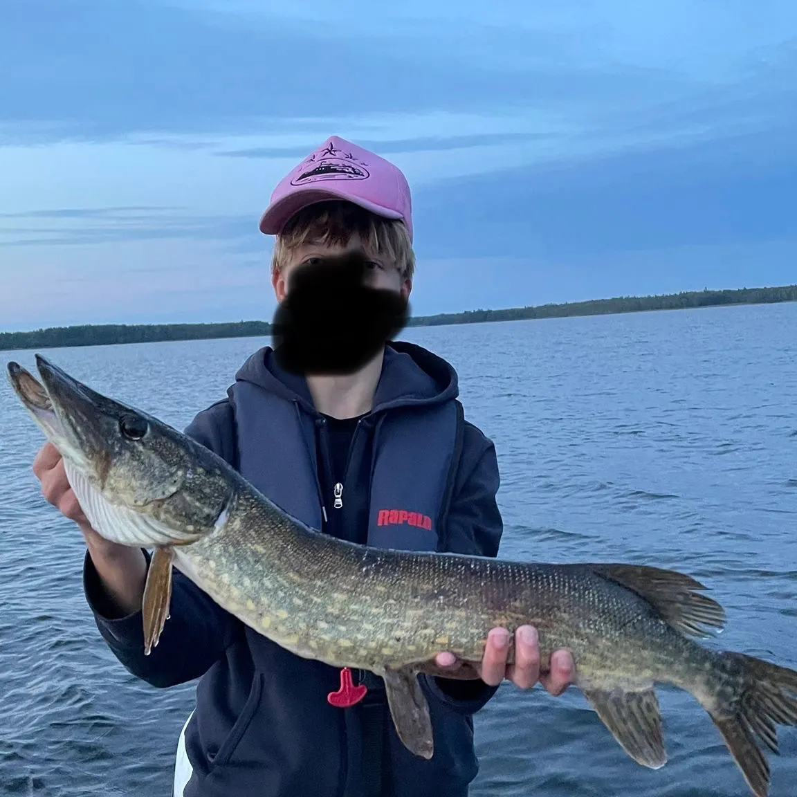Northern pike caught on Fishbrain