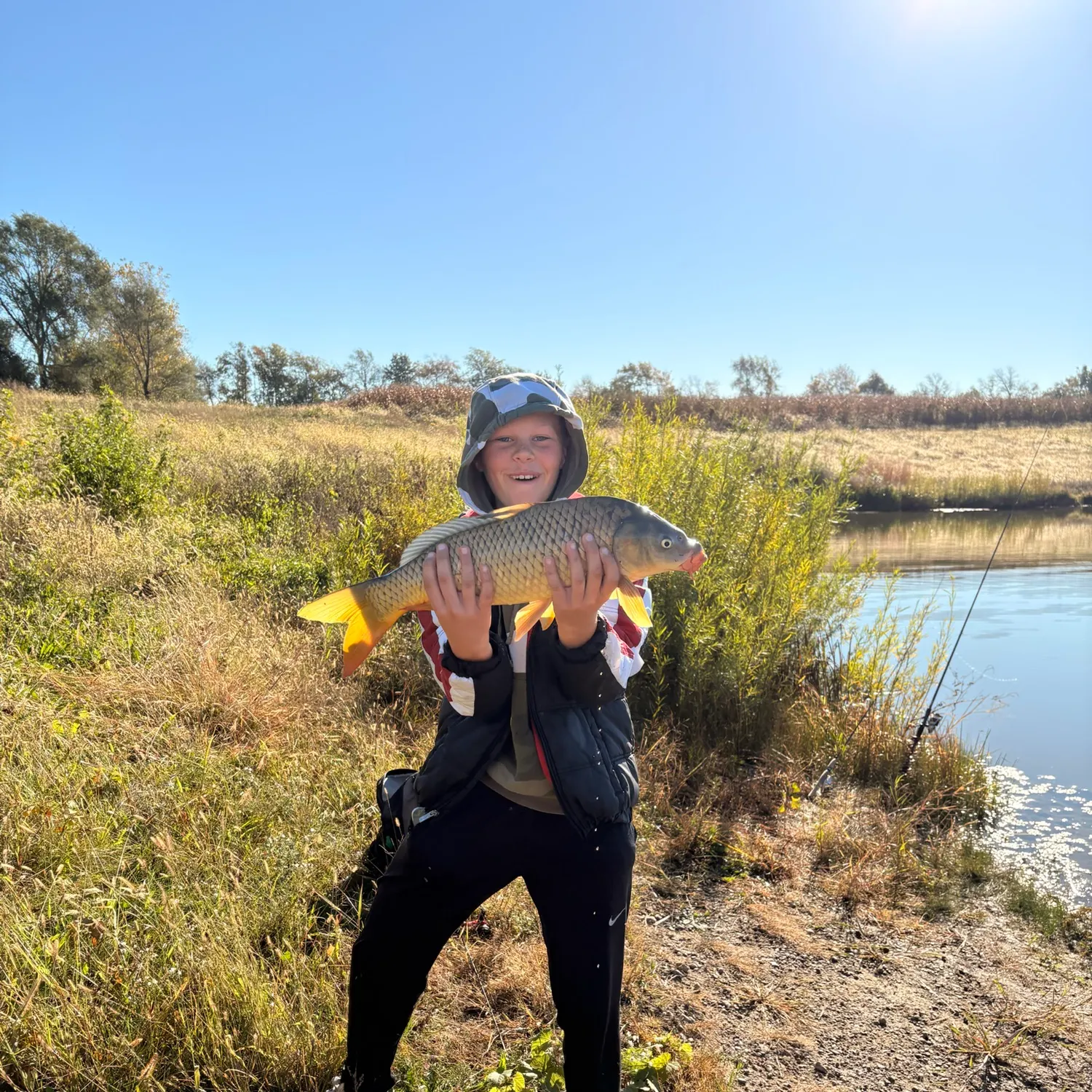 Common carp caught on Fishbrain