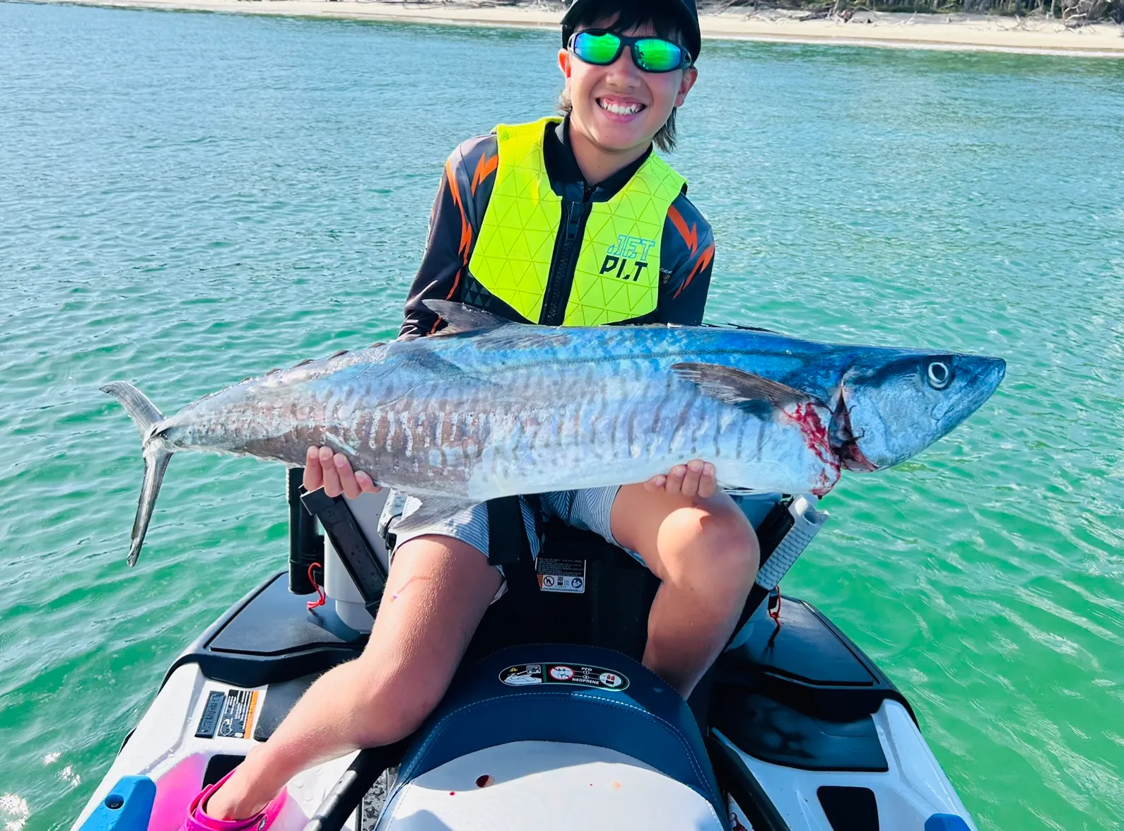 Narrow-barred Spanish mackerel