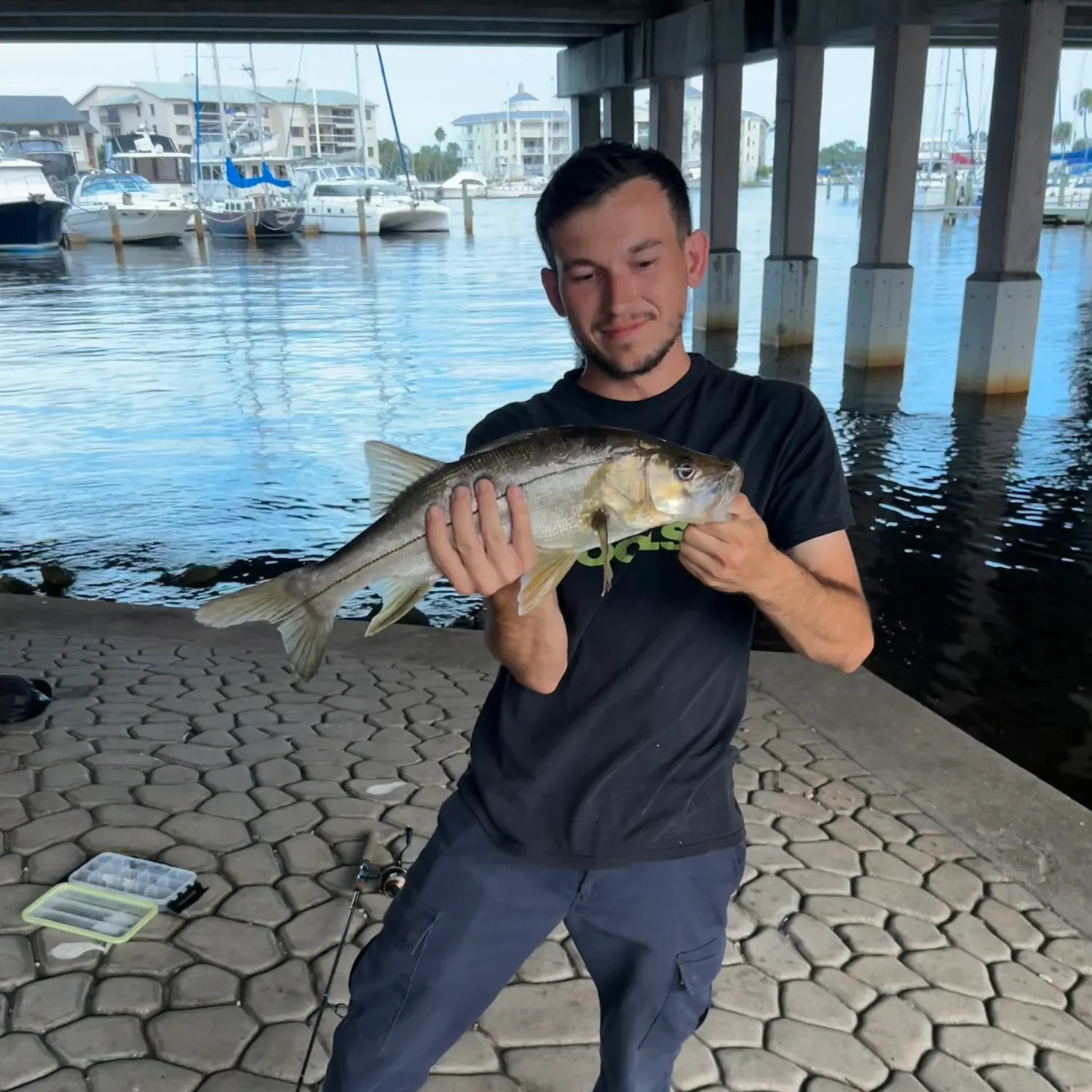 Swordspine Snook caught on Fishbrain