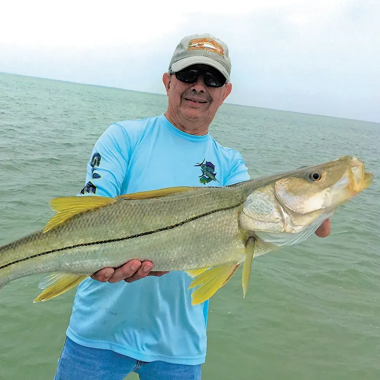 The most recent Common snook catches on Fishbrain