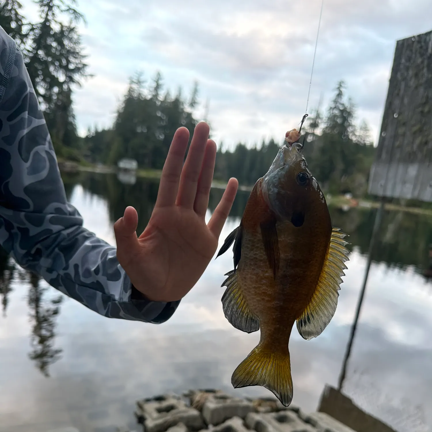 catch