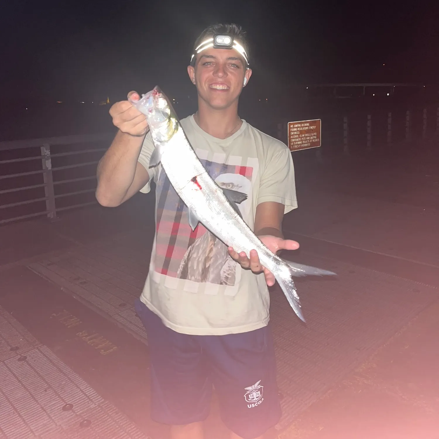 Ladyfish caught on Fishbrain
