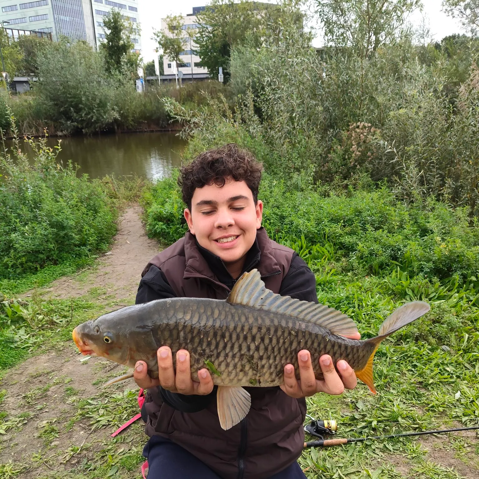 Common carp caught on Fishbrain
