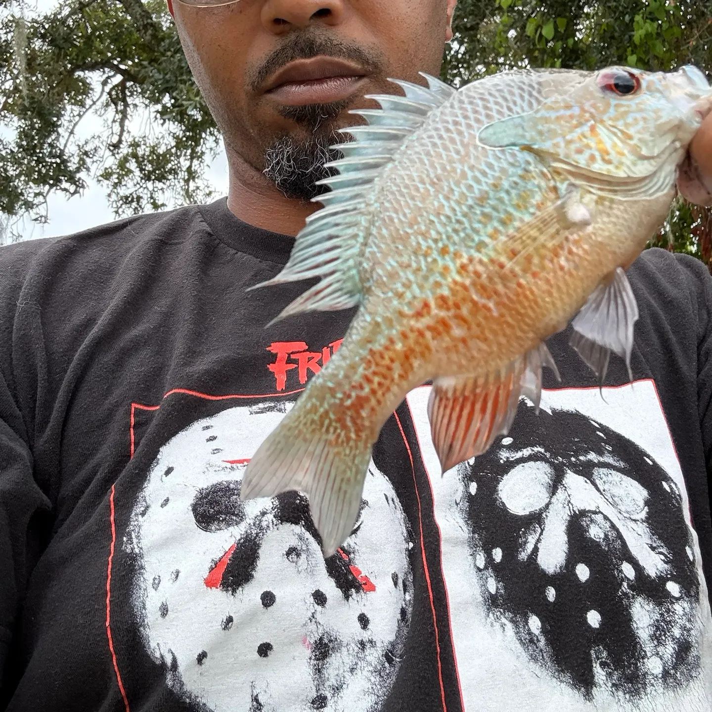 The most recent Longear sunfish catches on Fishbrain