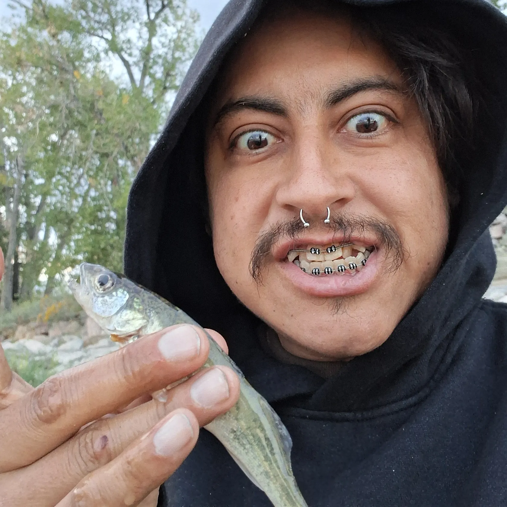 Walleye caught on Fishbrain