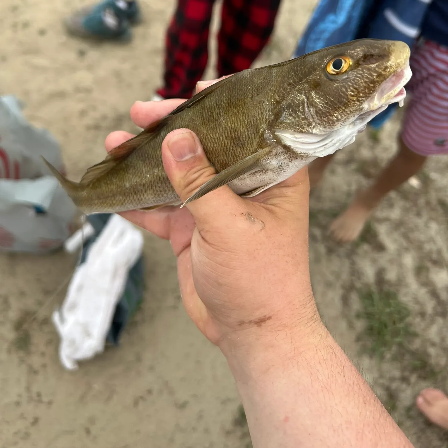 catch