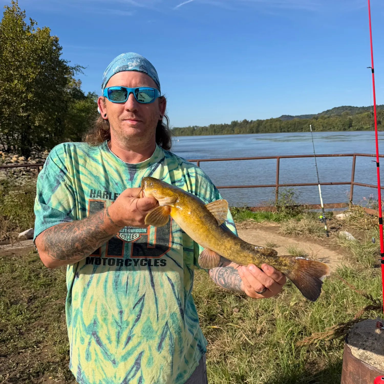 Flathead catfish caught on Fishbrain