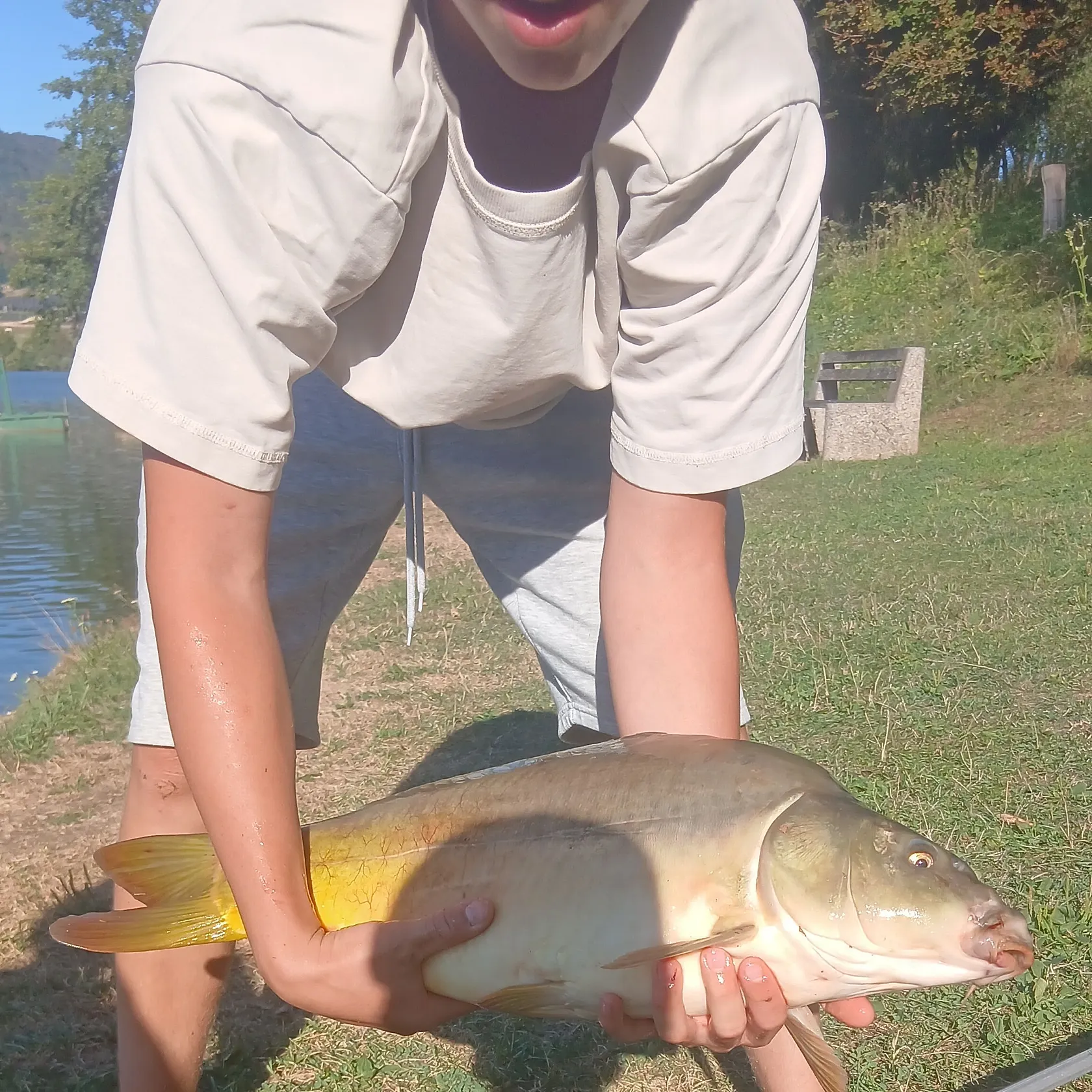 Leather carp caught on Fishbrain