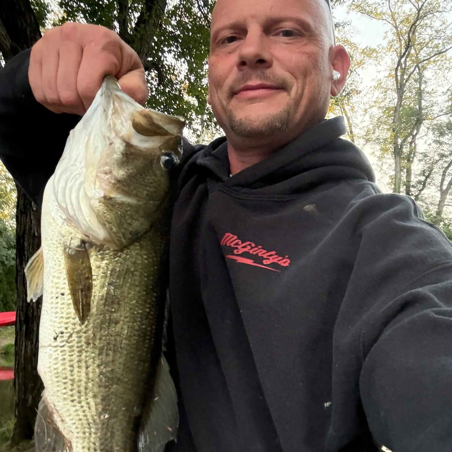 Largemouth bass caught on Fishbrain