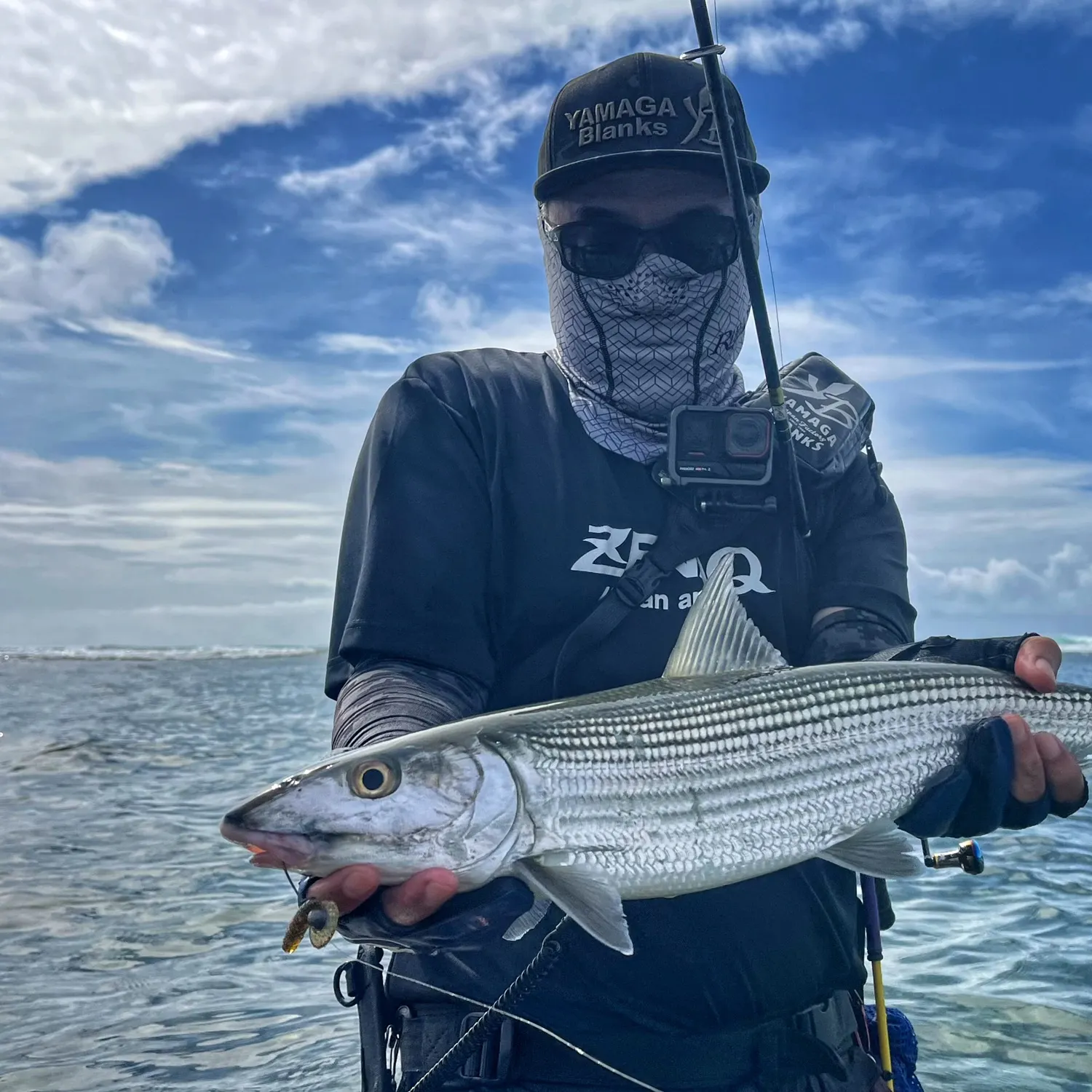 The most recent Roundjaw bonefish catches on Fishbrain
