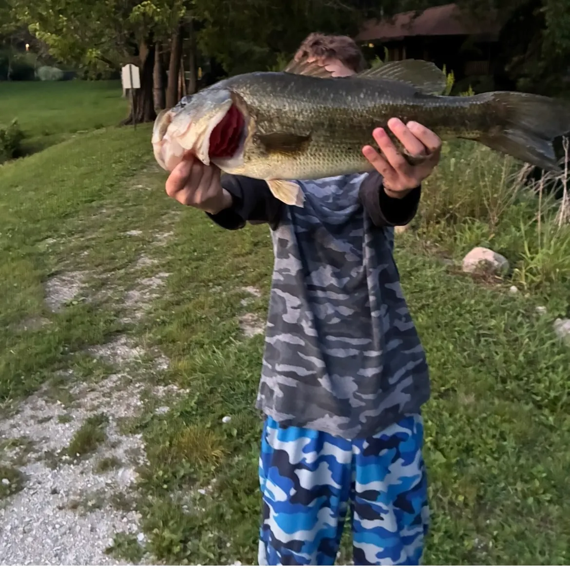 Largemouth bass caught on Fishbrain
