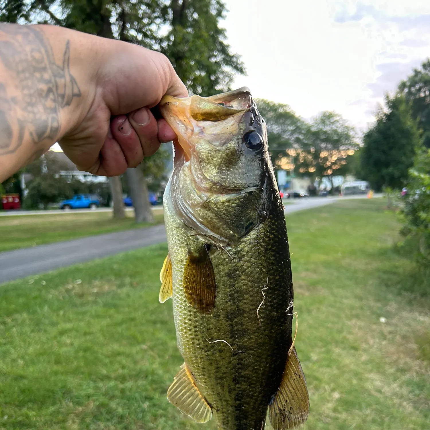 catch