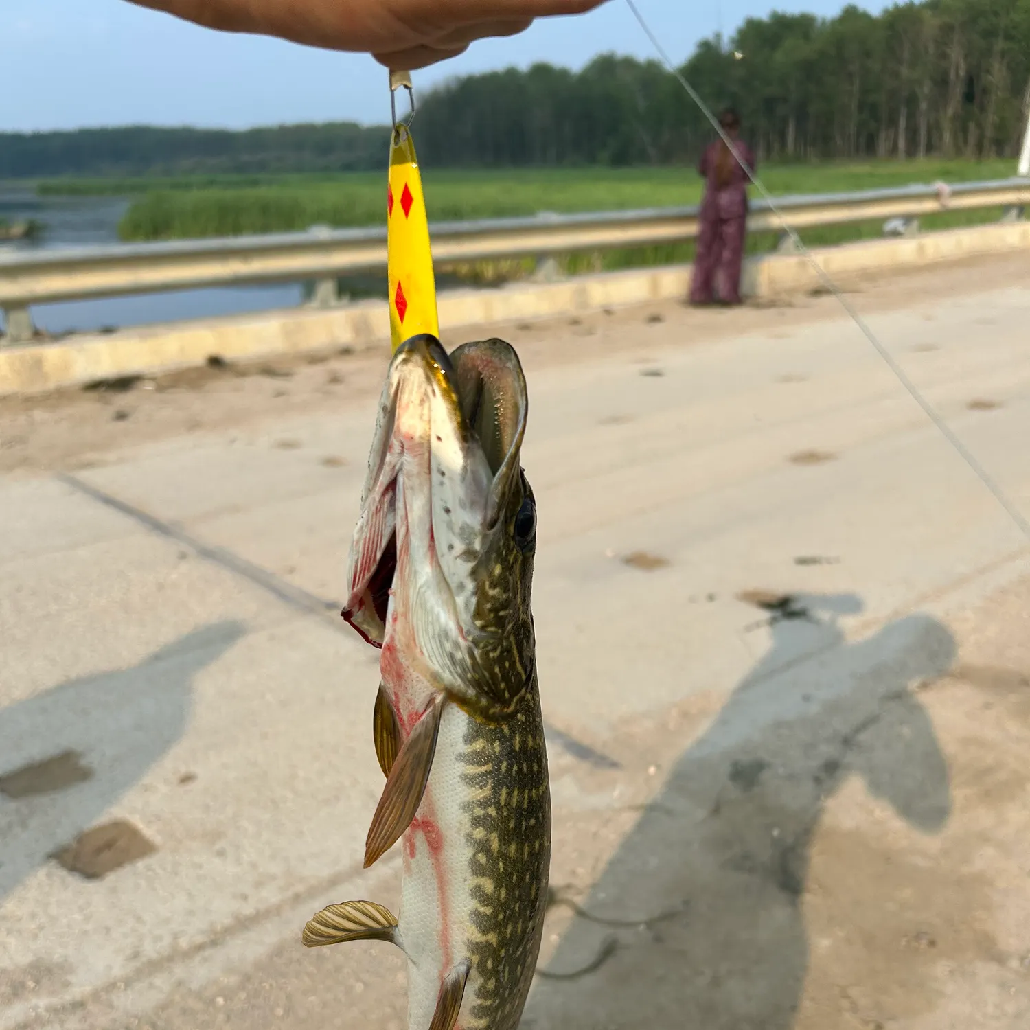 catch