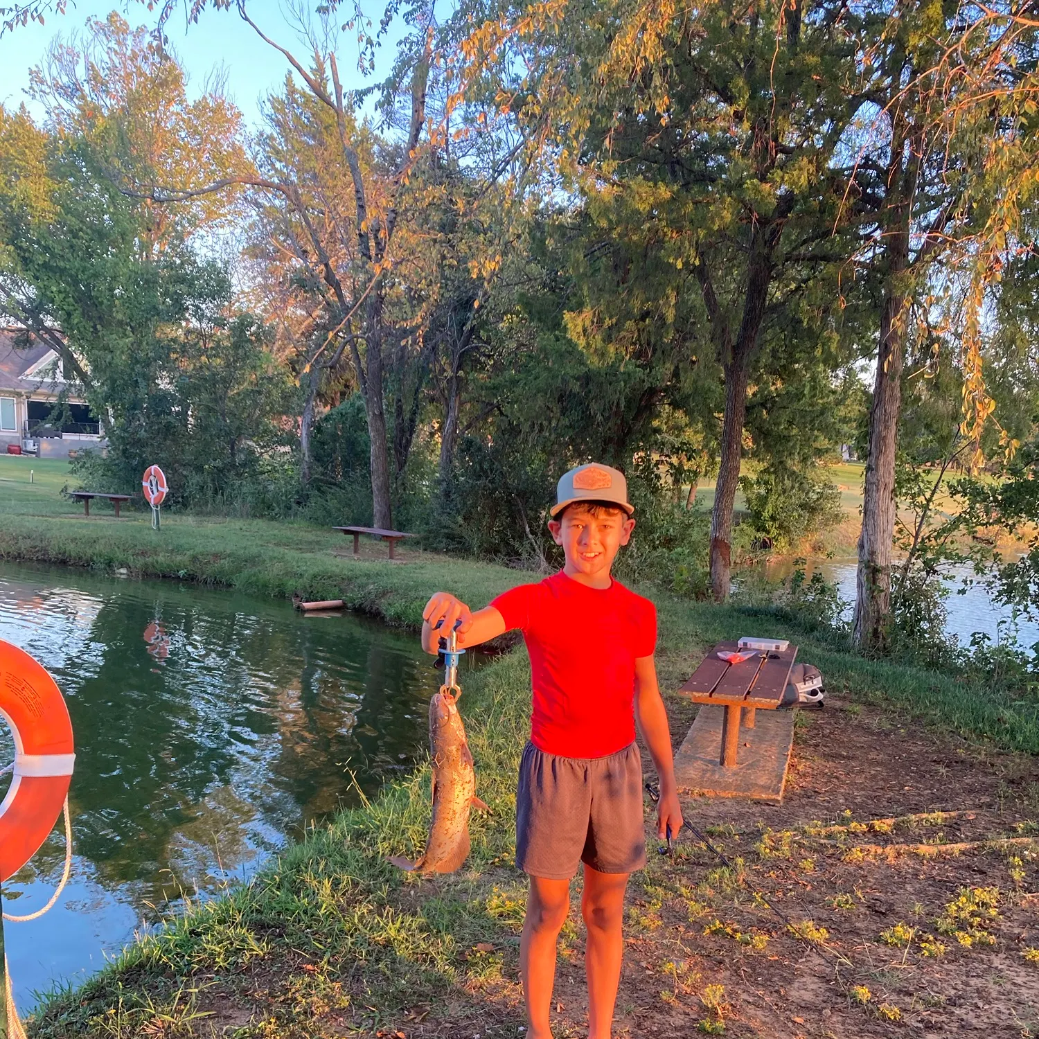 Channel catfish caught on Fishbrain