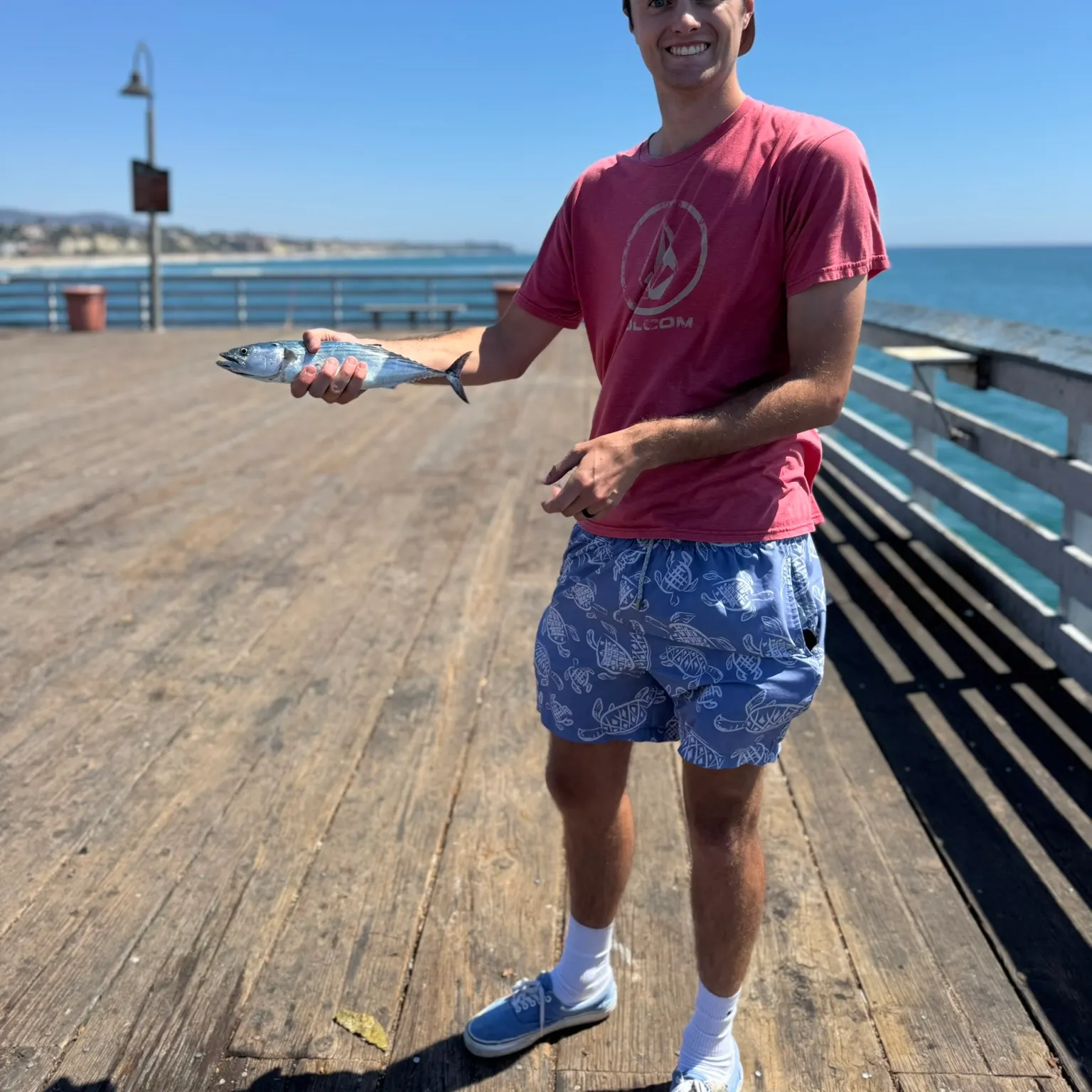 The most recent Pacific bonito catches on Fishbrain