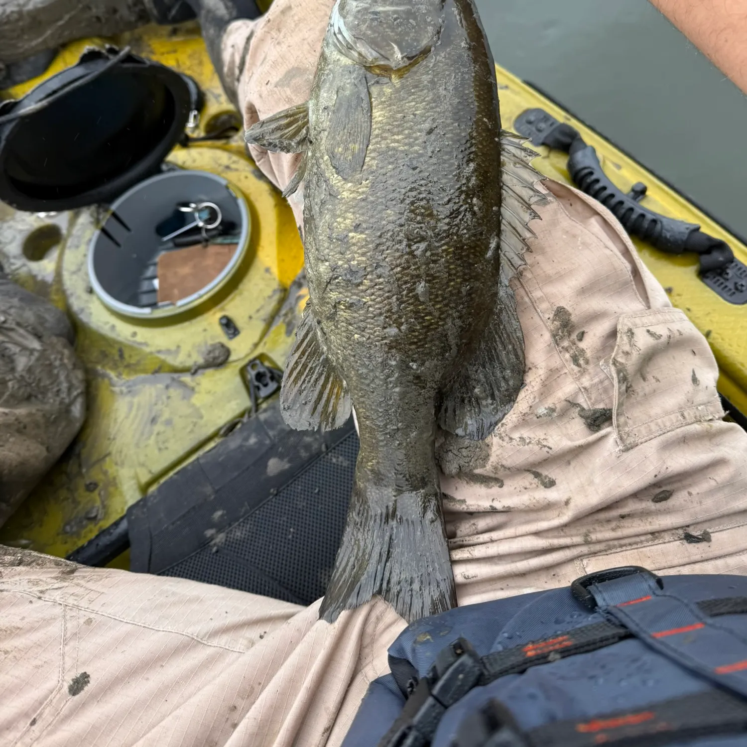 Smallmouth bass caught on Fishbrain