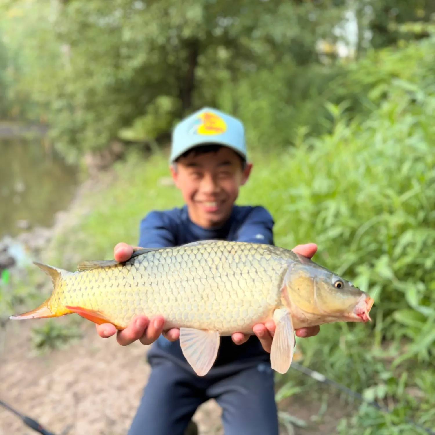 Common carp caught on Fishbrain