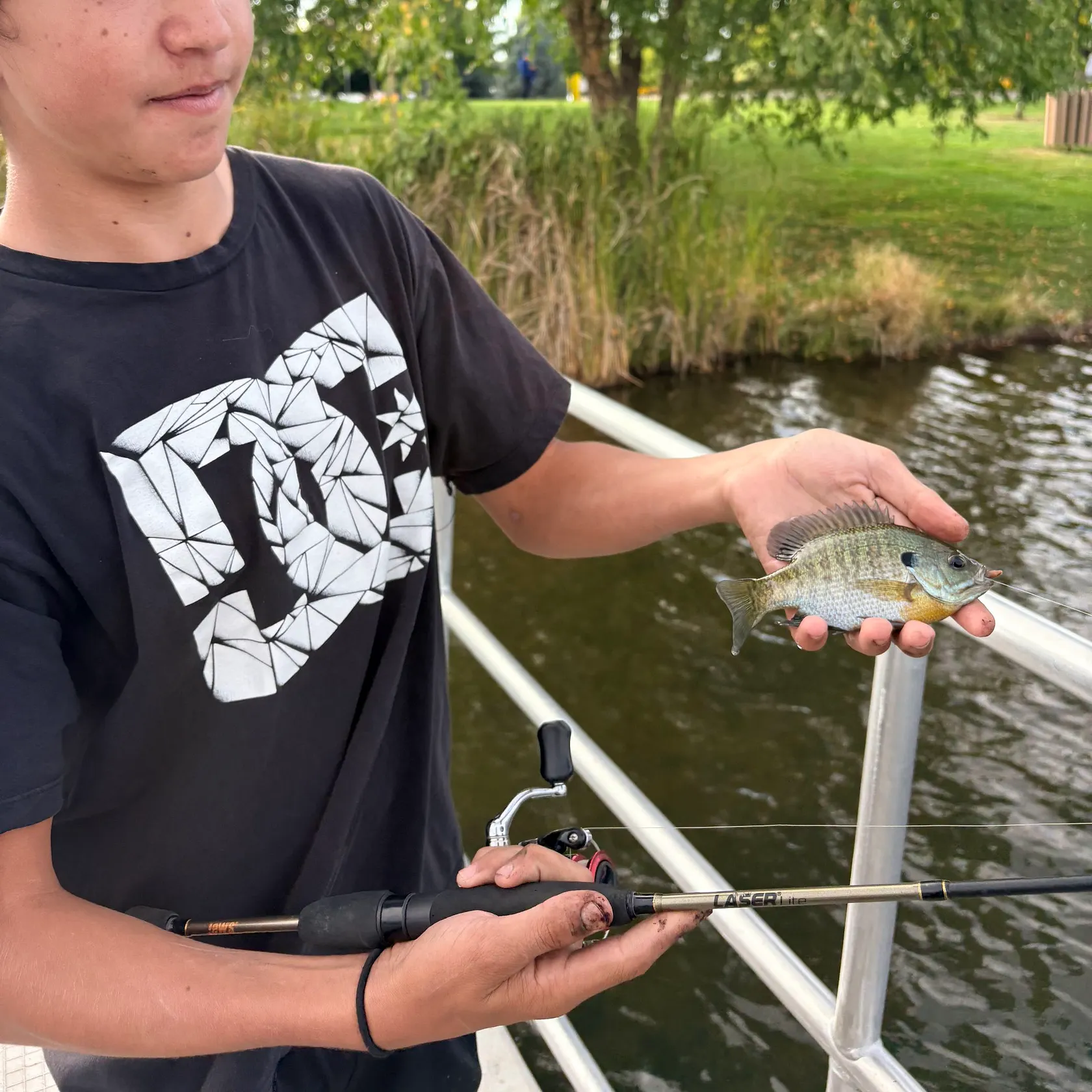 Bluegill caught on Fishbrain