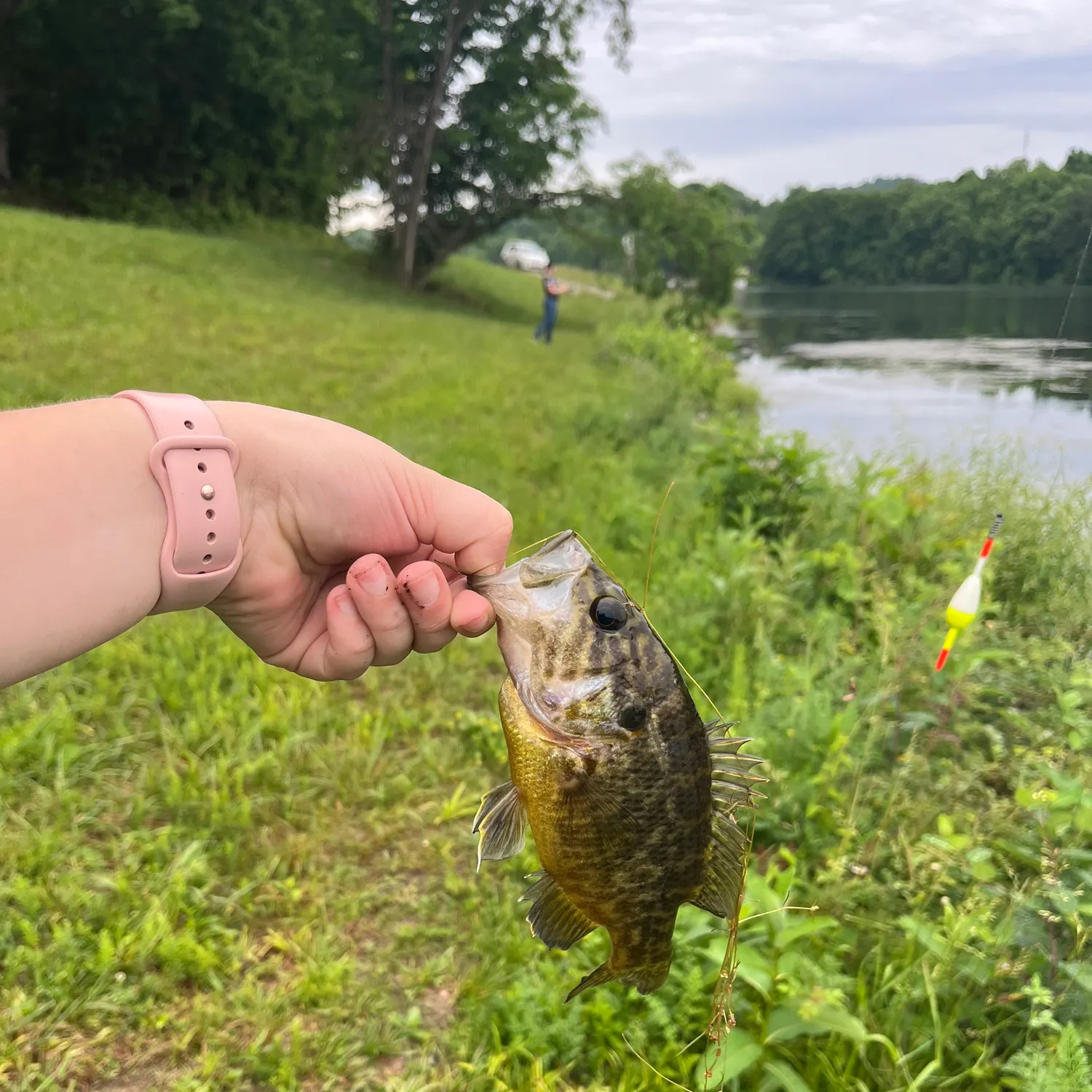 catch