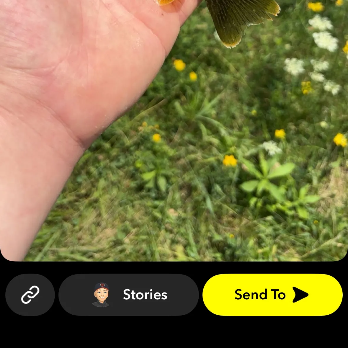 Greengill hybrid caught on Fishbrain