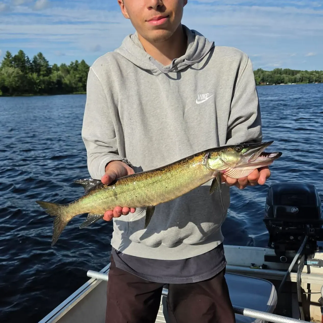 The most recent Muskellunge catches on Fishbrain