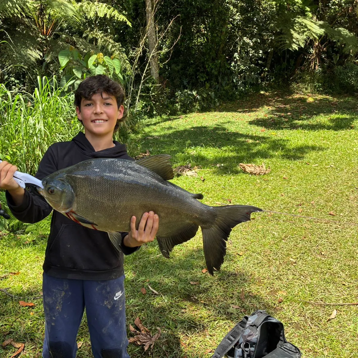 The most recent Black pacu catches on Fishbrain