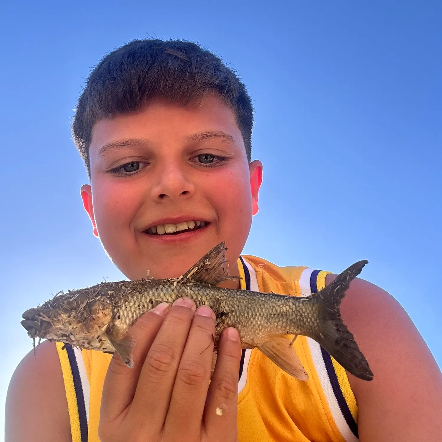 The most recent Andalusian barbel catches on Fishbrain