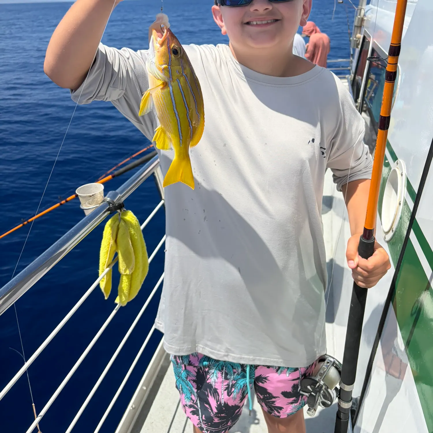The most recent Common bluestripe snapper catches on Fishbrain
