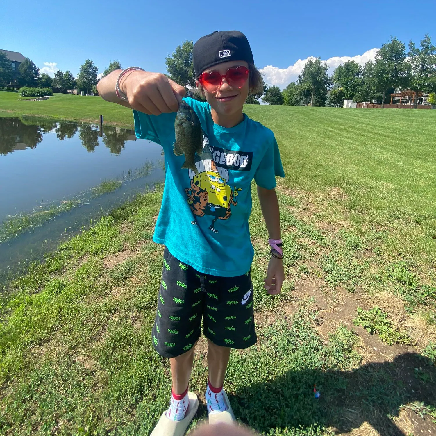 Bluegill caught on Fishbrain