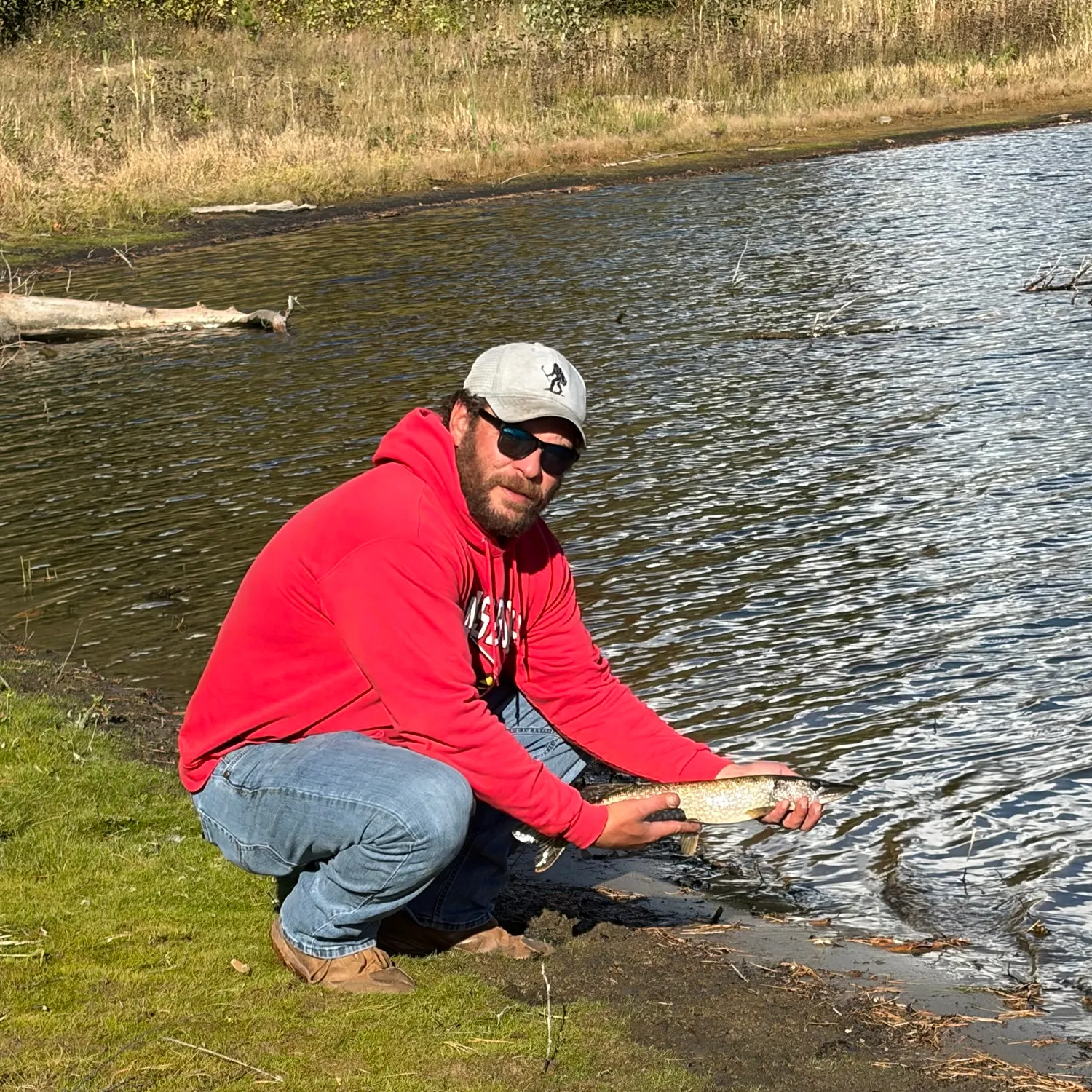 Northern pike caught on Fishbrain