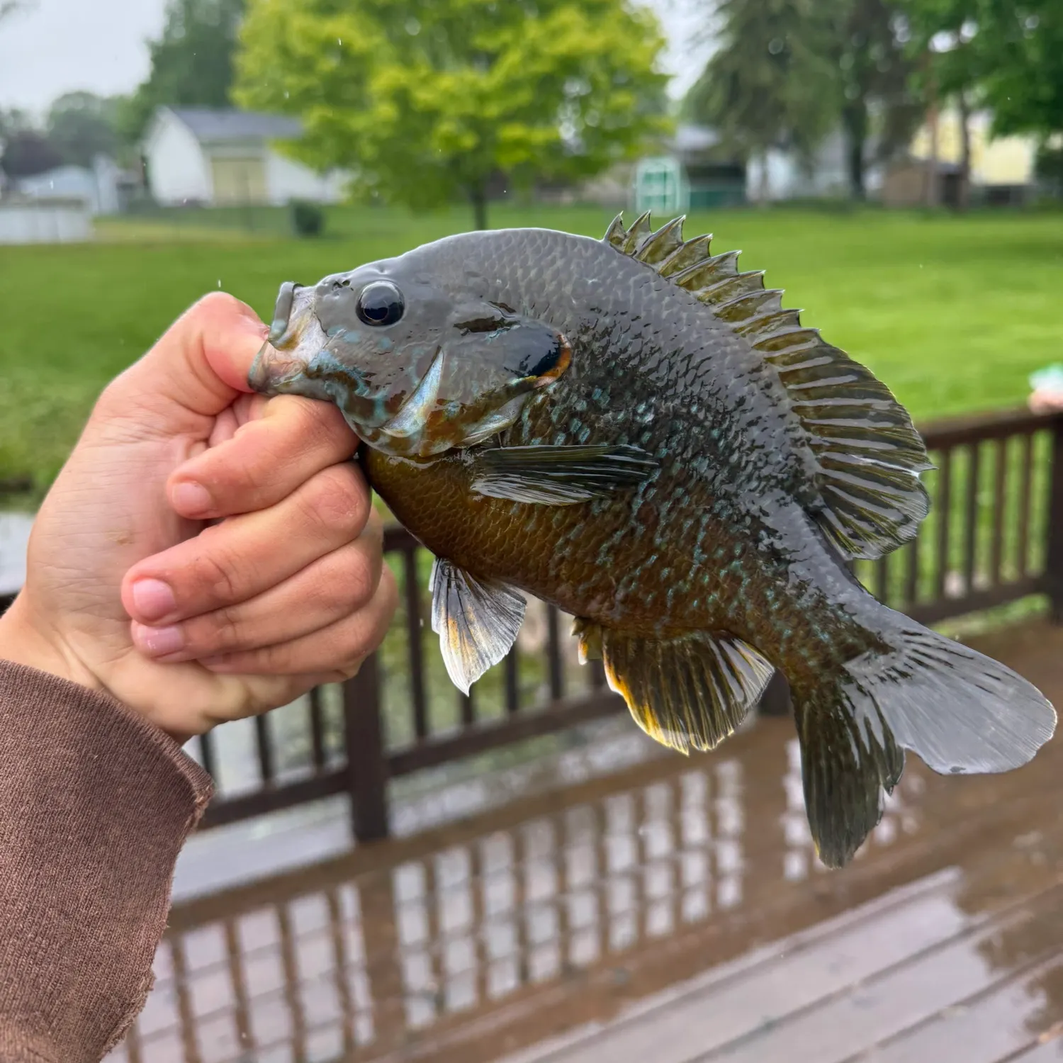 catch