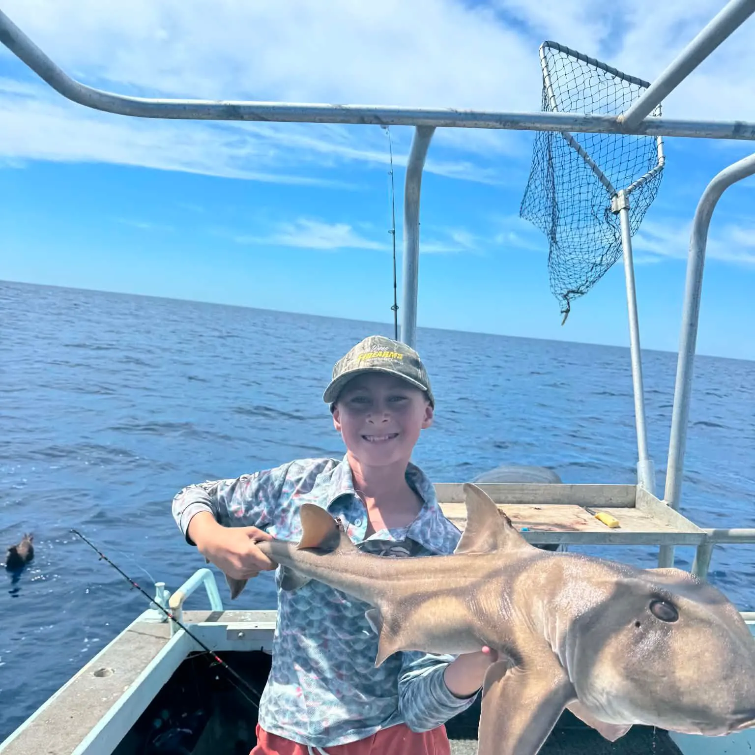 Port Jackson shark caught on Fishbrain
