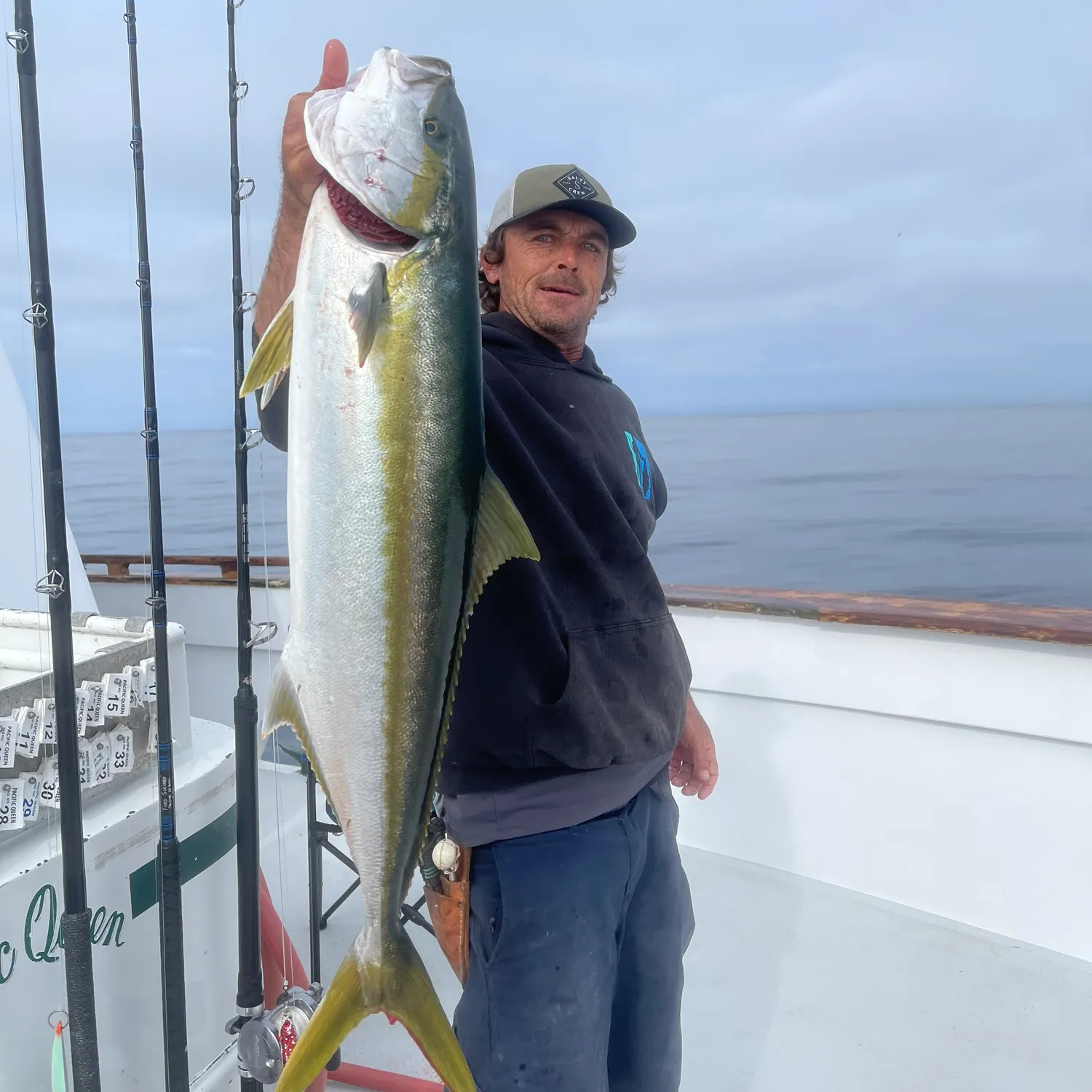 The most recent California yellowtail amberjack catches on Fishbrain