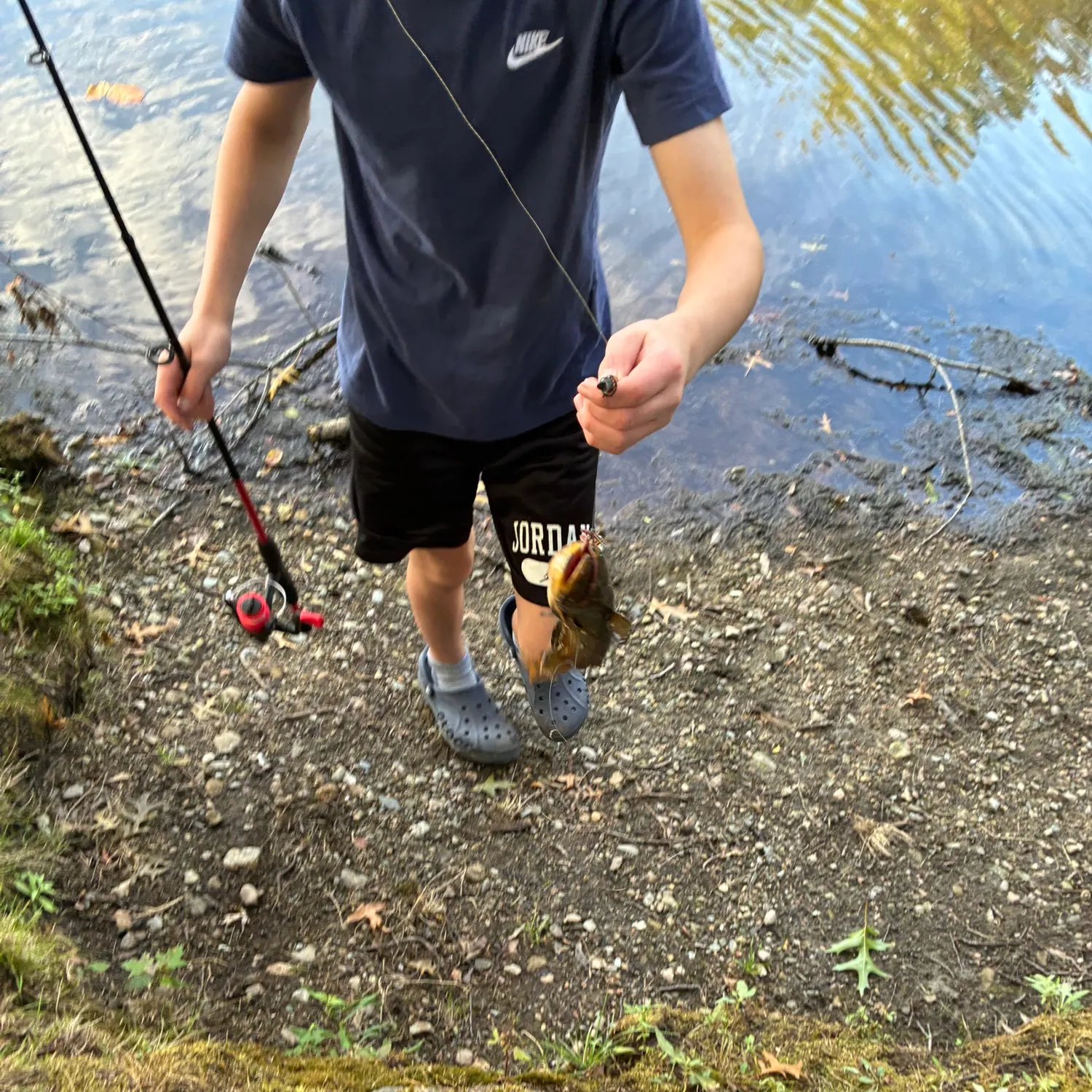 Yellow bullhead caught on Fishbrain