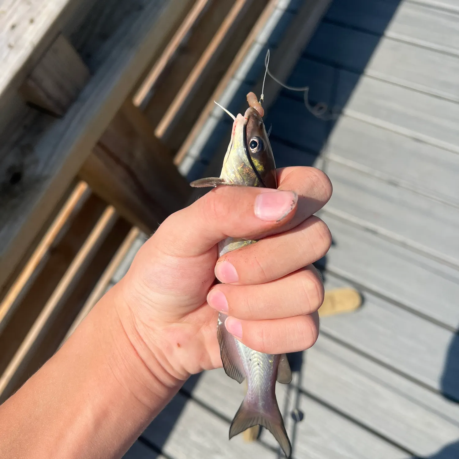 catch