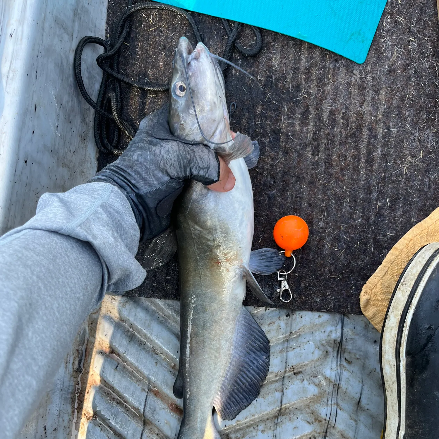 catch