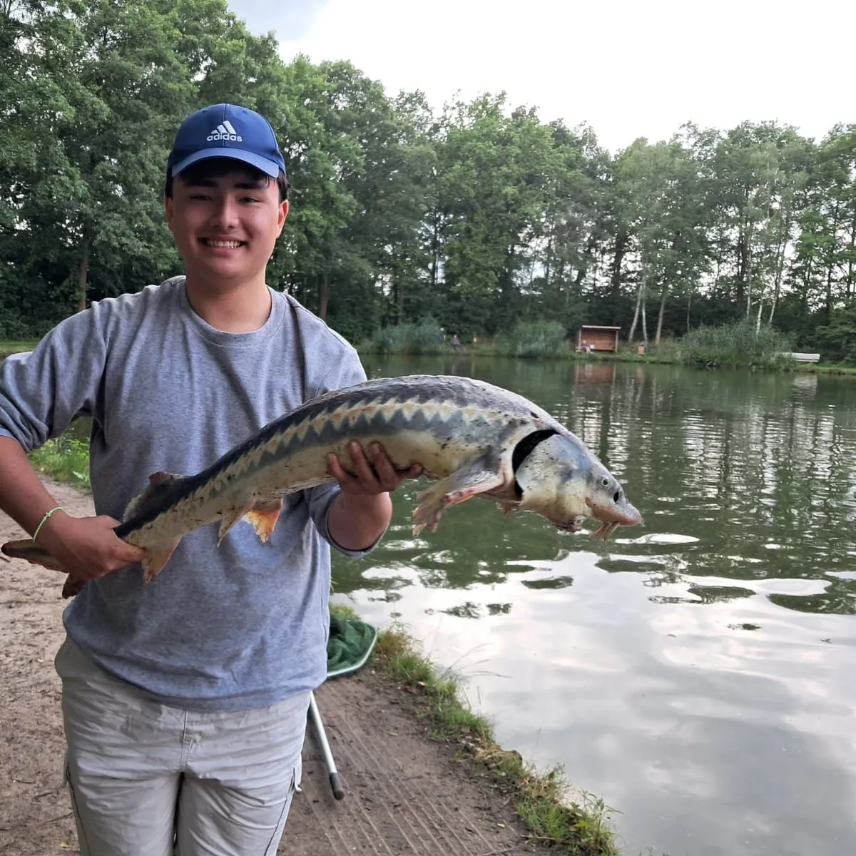 The most recent Siberian sturgeon catches on Fishbrain