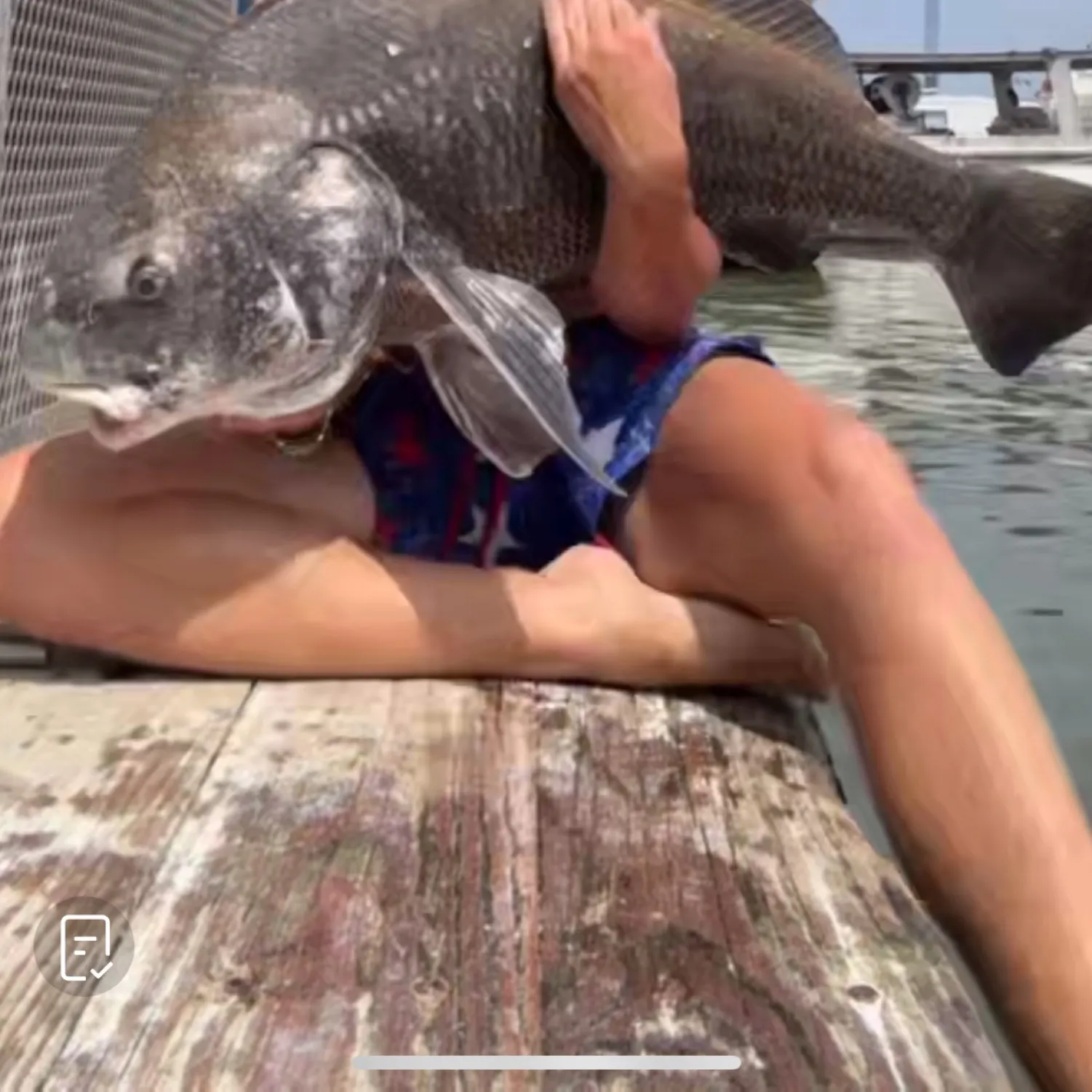 recently logged catches